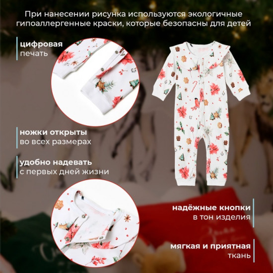 Комбинезон детский детский «Winter»