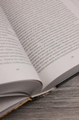 Ведьмак двадцать третьего века - Фото 7