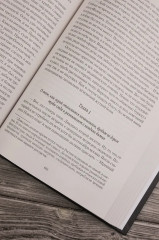 Ведьмак двадцать третьего века - Фото 8