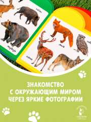 Животные - Фото 3