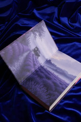 Побеждая смерть. Livor Mortis - Фото 6