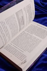 Побеждая смерть. Livor Mortis - Фото 9