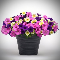 Семена петунии ампельной «F1 Изи Вейв Сандра» - Фото 1