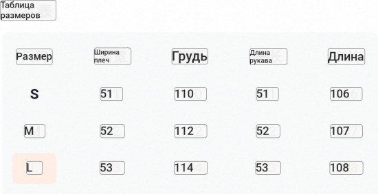 Демисезонное пальто с капюшоном