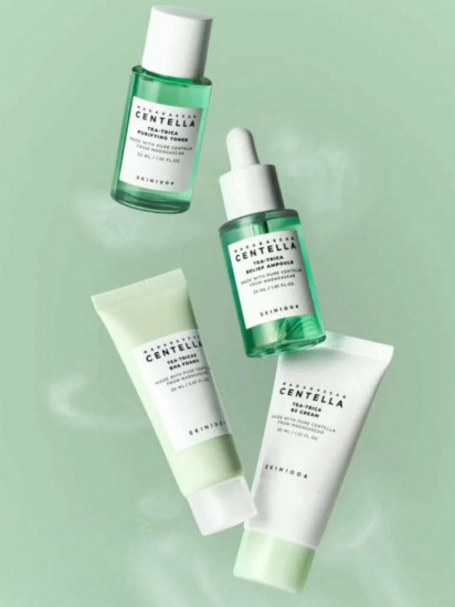 Дорожный миниатюрный набор для ухода за лицом «Madagascar Centella Tea-Trica Travel kit»