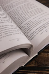 Концессия - Фото 8