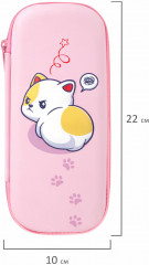 Пенал - Фото 3