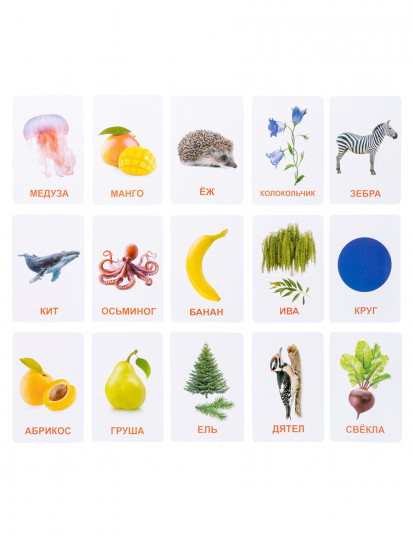 Настольная игра «Обучающие карточки. Мир вокруг»