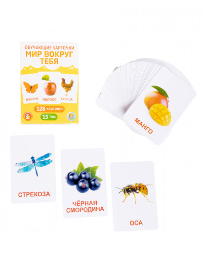 Настольная игра «Обучающие карточки. Мир вокруг»
