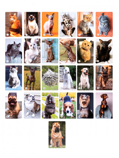 Игра «Мемо. Кошечки-собачки»