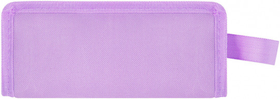 Пенал школьный