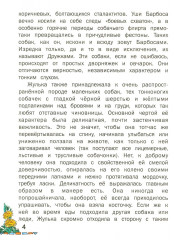 Внеклассное чтение. Читаем дома - Фото 5