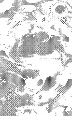 Демон теории. Литература и здравый смысл - Фото 14