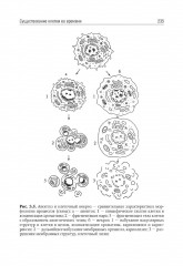 Биология. Том 1. Учебник для ВУЗов - Фото 5