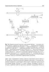 Биология. Том 1. Учебник для ВУЗов - Фото 7