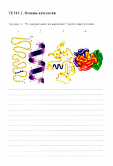 Анатомия и физиология человека. Рабочая тетрадь. Часть 1 - Фото 14