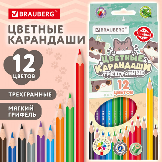 Набор карандашей цветных