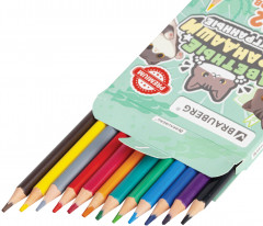 Набор карандашей цветных - Фото 4