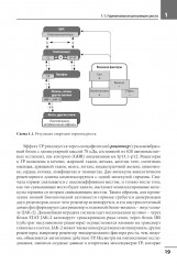 Диагностика и лечение эндокринных заболеваний у детей и подростков по Н. П. Шабалову - Фото 11