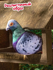 Игрушка мягкая «Голубь» - Фото 5