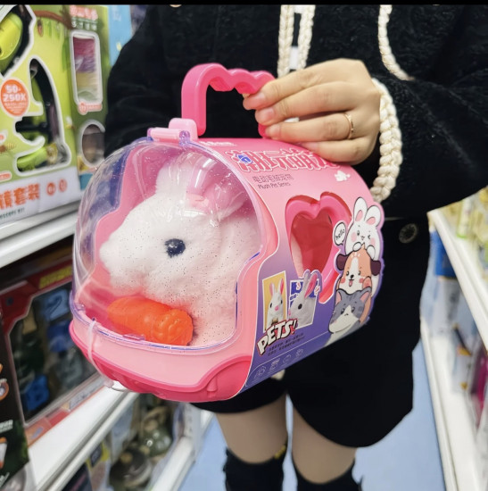 Набор заводной зайчик