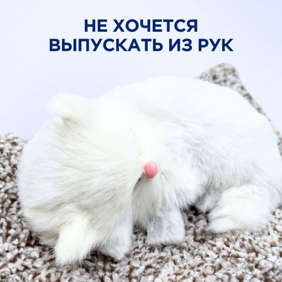 Декоративная игрушка на панель автомобиля «Спящий котик»