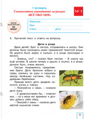 Литературное чтение. Суммативное оценивание за раздел, суммативное оценивание за четверть. 2 класс - Фото 1