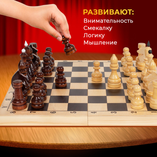 Шахматы турнирные