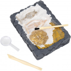 Набор для раскопок «Древняя Греция» - Фото 6