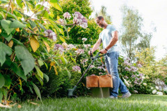 Триммер электрический Bosch EasyGrassCut 26 - Фото 3