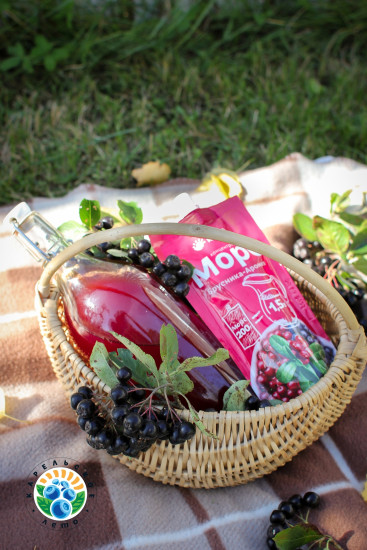 Морс концентрированный «Брусника-Арония»