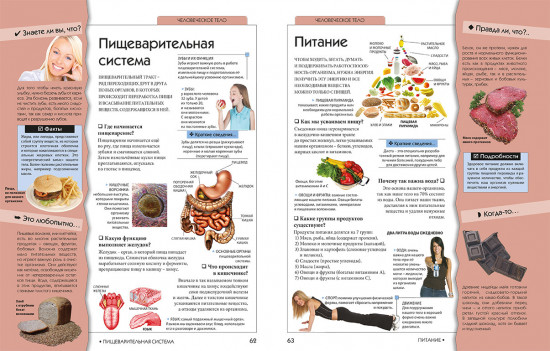 Большой подарок будущему отличнику