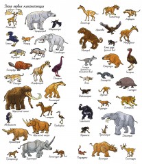 Динозавры. Найди и покажи - Фото 4