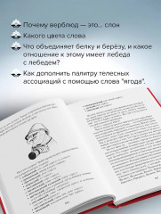 Зри в корень! Из чего «растут» слова, или Как верблюд оказался слоном, а букет — лесом? - Фото 4