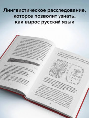 Зри в корень! Из чего «растут» слова, или Как верблюд оказался слоном, а букет — лесом? - Фото 7