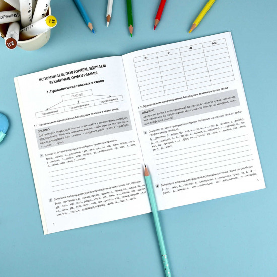 Тренажер по русскому языку. 5 класс