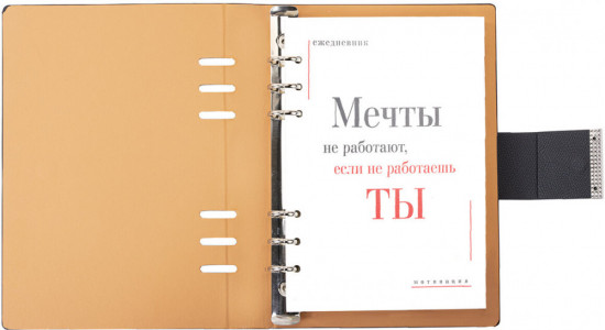Ежедневник