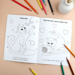 Книжка-раскраска для детей с наклейками «Коты» - Фото 4