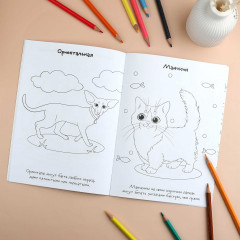 Книжка-раскраска для детей с наклейками «Коты» - Фото 5