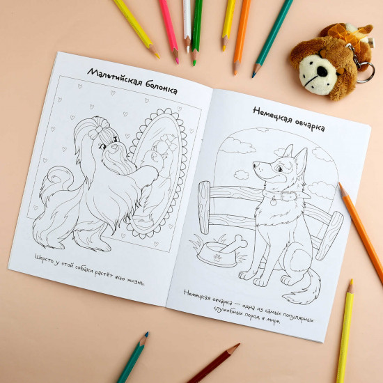 Книжка-раскраска для детей с наклейками «Собаки»