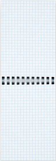 Блокнот «Лапки»