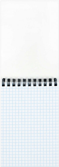 Блокнот «Капибара»