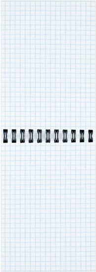 Блокнот «Капибара»