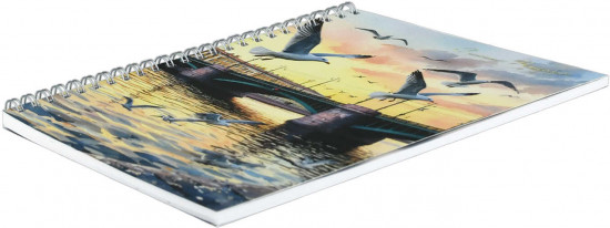 Блокнот «Чайки у моста»