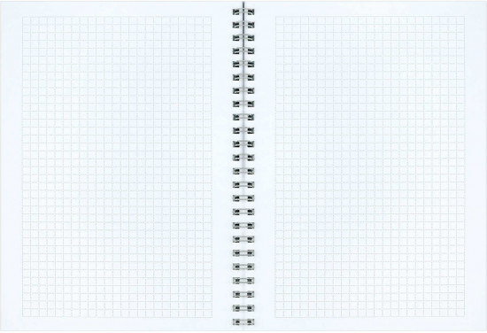 Блокнот «Чайки у моста»