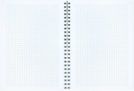 Блокнот «Синие хризантемы»