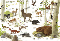 Словарь в картинках. Добро пожаловать в Кукуево! - Фото 3