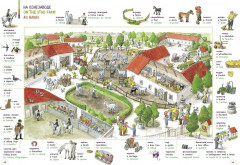 Словарь в картинках. Добро пожаловать в Кукуево! - Фото 4