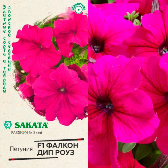 Семена петунии «Фалкон Дип роуз»