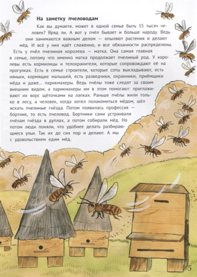 Гнёзда, дупла и берлоги